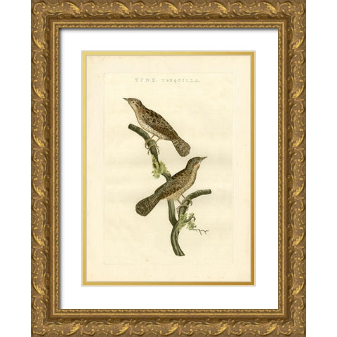 Nozeman Birds V Gold Ornate Wood Framed Art Print with Double Matting by Nozeman