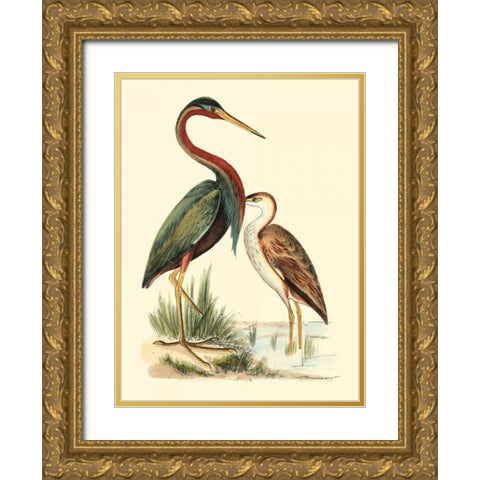 Water Birds III Gold Ornate Wood Framed Art Print with Double Matting by Meyer, H.L.