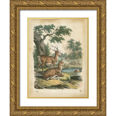 Natures Gathering IV Gold Ornate Wood Framed Art Print with Double Matting by Wiek, John