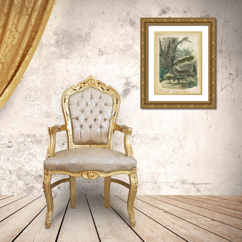 Natures Gathering V Gold Ornate Wood Framed Art Print with Double Matting by Wiek, John