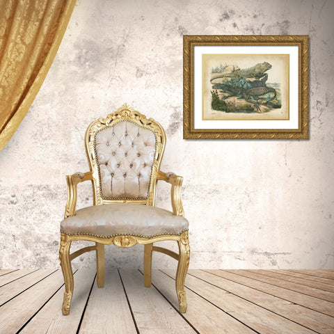 Natures Gathering VI Gold Ornate Wood Framed Art Print with Double Matting by Wiek, John