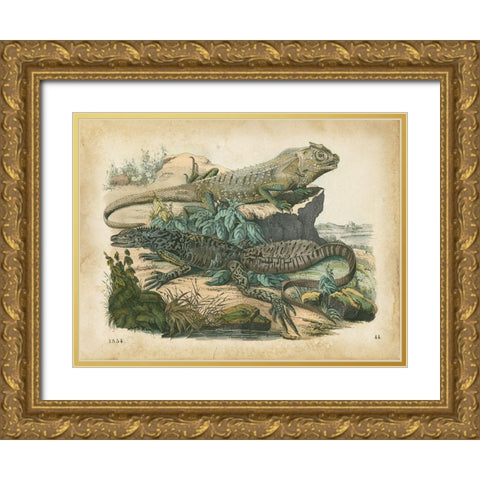 Natures Gathering VI Gold Ornate Wood Framed Art Print with Double Matting by Wiek, John