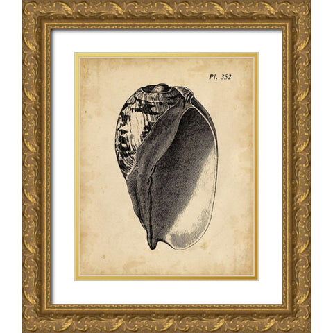 Vintage Diderot Shell IV Gold Ornate Wood Framed Art Print with Double Matting by Vision Studio