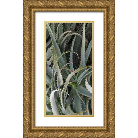 Prickly Cactus Gold Ornate Wood Framed Art Print with Double Matting by Perry, Rachel