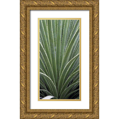Cactus Celery Gold Ornate Wood Framed Art Print with Double Matting by Perry, Rachel