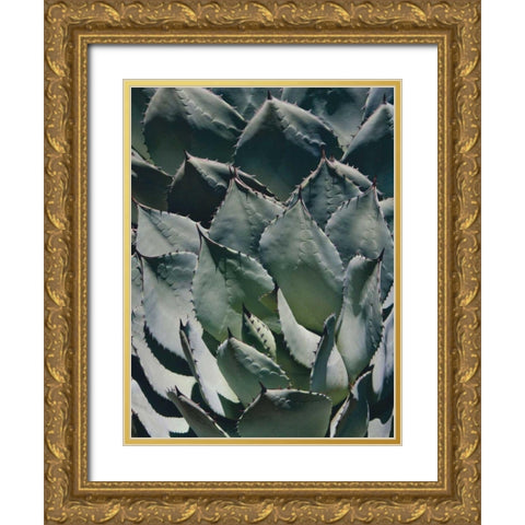 Agave I Gold Ornate Wood Framed Art Print with Double Matting by Perry, Rachel