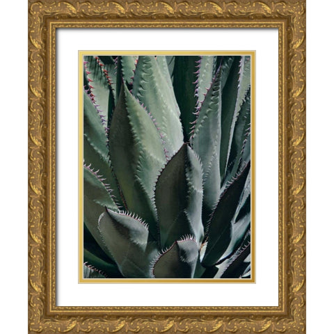 Agave II Gold Ornate Wood Framed Art Print with Double Matting by Perry, Rachel