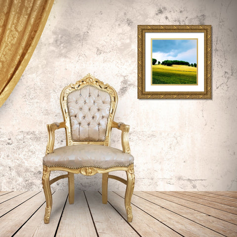 Larrissingle I Gold Ornate Wood Framed Art Print with Double Matting by Chester, Colby