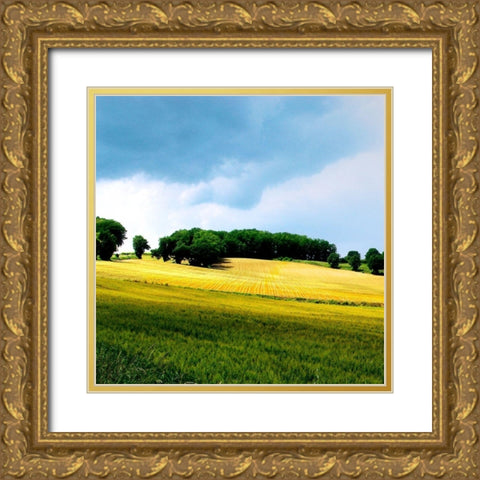 Larrissingle I Gold Ornate Wood Framed Art Print with Double Matting by Chester, Colby