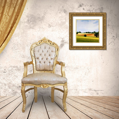 Larrissingle II Gold Ornate Wood Framed Art Print with Double Matting by Chester, Colby