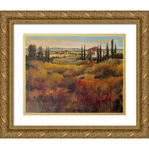 Tuscany I Gold Ornate Wood Framed Art Print with Double Matting by OToole, Tim