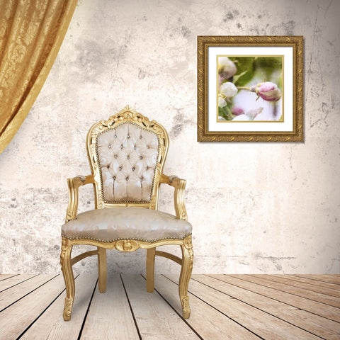 Apple Blossom I Gold Ornate Wood Framed Art Print with Double Matting by Open Journey