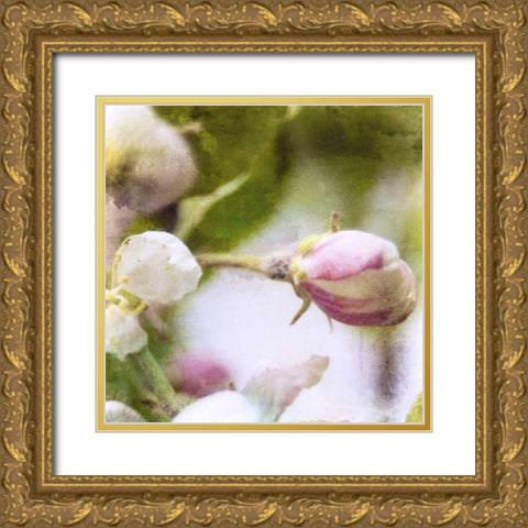 Apple Blossom I Gold Ornate Wood Framed Art Print with Double Matting by Open Journey