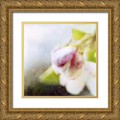 Apple Blossom II Gold Ornate Wood Framed Art Print with Double Matting by Open Journey