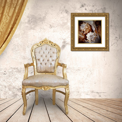 Macro Shells III Gold Ornate Wood Framed Art Print with Double Matting by Perry, Rachel