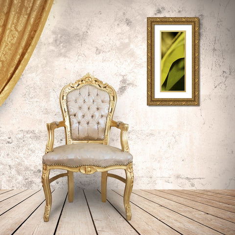 Leaf Detail I Gold Ornate Wood Framed Art Print with Double Matting by Ling, Tang
