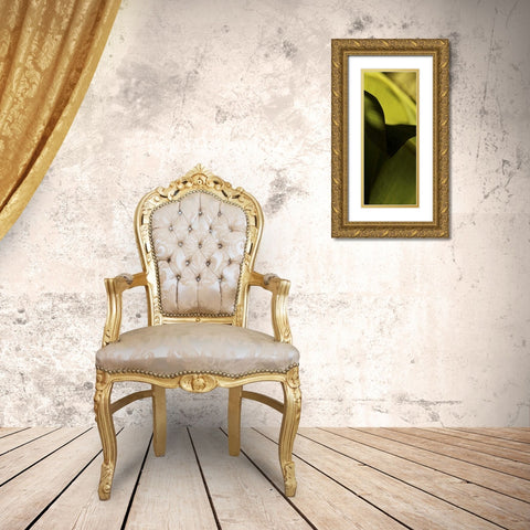 Leaf Detail II Gold Ornate Wood Framed Art Print with Double Matting by Ling, Tang
