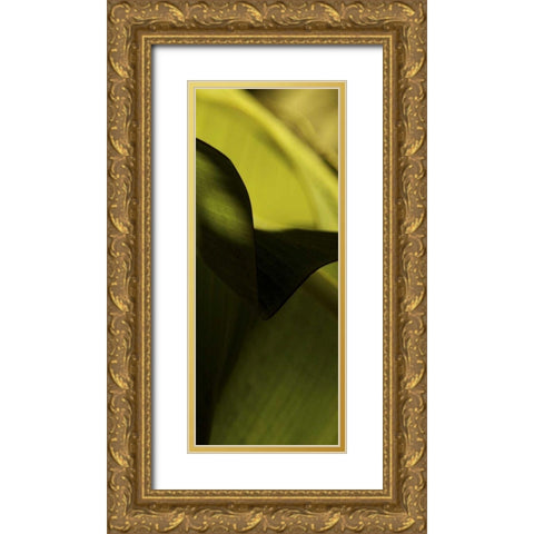 Leaf Detail II Gold Ornate Wood Framed Art Print with Double Matting by Ling, Tang
