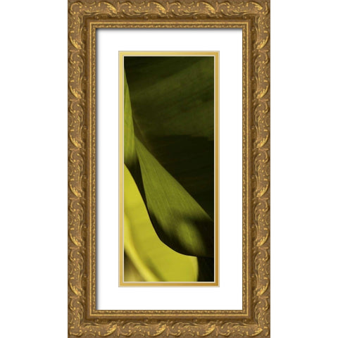 Leaf Detail III Gold Ornate Wood Framed Art Print with Double Matting by Ling, Tang