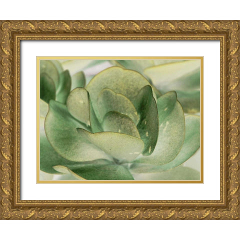 Petal I Gold Ornate Wood Framed Art Print with Double Matting by Ling, Tang
