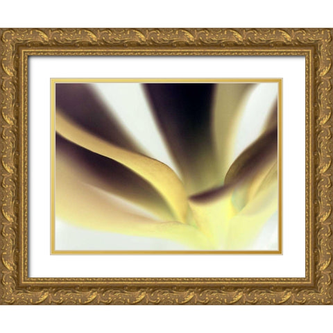 Petal II Gold Ornate Wood Framed Art Print with Double Matting by Ling, Tang