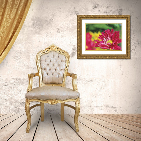 Painterly Flower VI Gold Ornate Wood Framed Art Print with Double Matting by Henry, Lola