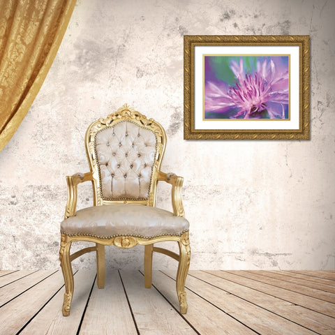 Painterly Flower VIII Gold Ornate Wood Framed Art Print with Double Matting by Henry, Lola