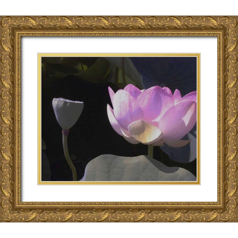 Blushing Lotus III Gold Ornate Wood Framed Art Print with Double Matting by Christensen, Jim