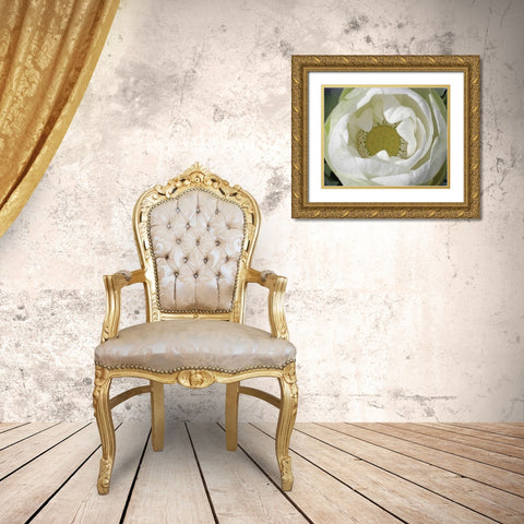 Delicate Lotus I Gold Ornate Wood Framed Art Print with Double Matting by Christensen, Jim