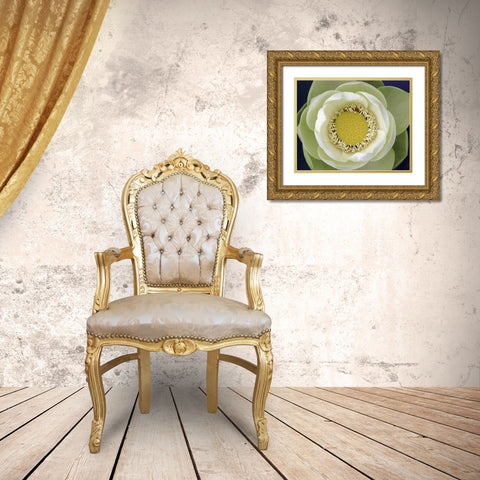 Delicate Lotus II Gold Ornate Wood Framed Art Print with Double Matting by Christensen, Jim