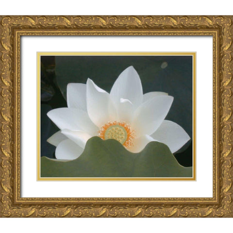 Delicate Lotus III Gold Ornate Wood Framed Art Print with Double Matting by Christensen, Jim