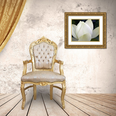 Delicate Lotus IV Gold Ornate Wood Framed Art Print with Double Matting by Christensen, Jim