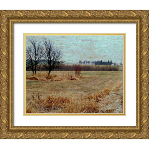 Fields I Gold Ornate Wood Framed Art Print with Double Matting by Harrington, Danielle