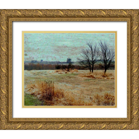 Fields II Gold Ornate Wood Framed Art Print with Double Matting by Harrington, Danielle