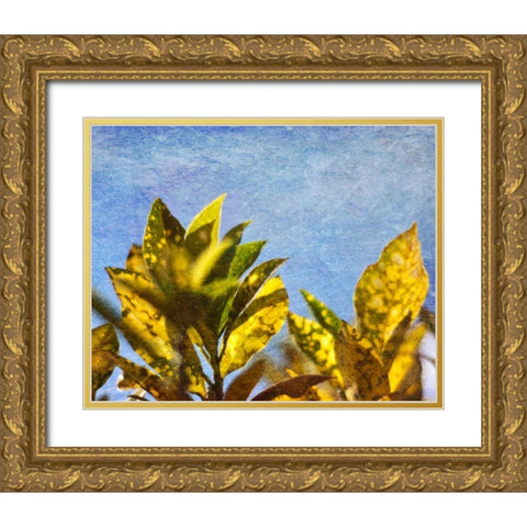 Sun Toward I Gold Ornate Wood Framed Art Print with Double Matting by Robinson, Emily
