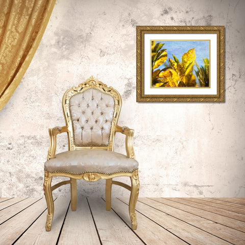 Sun Toward II Gold Ornate Wood Framed Art Print with Double Matting by Robinson, Emily