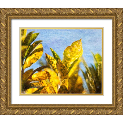 Sun Toward II Gold Ornate Wood Framed Art Print with Double Matting by Robinson, Emily