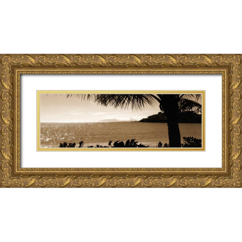 After the Rains Gold Ornate Wood Framed Art Print with Double Matting by Bay, Noah