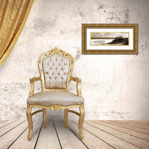 Boardwalk Shadows Gold Ornate Wood Framed Art Print with Double Matting by Bay, Noah