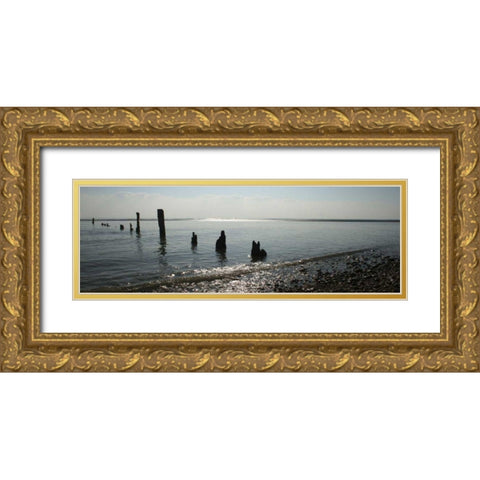 Beach Study I Gold Ornate Wood Framed Art Print with Double Matting by Bay, Noah