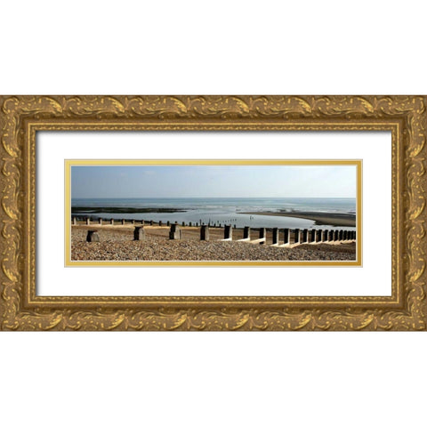 Beach Study IV Gold Ornate Wood Framed Art Print with Double Matting by Bay, Noah