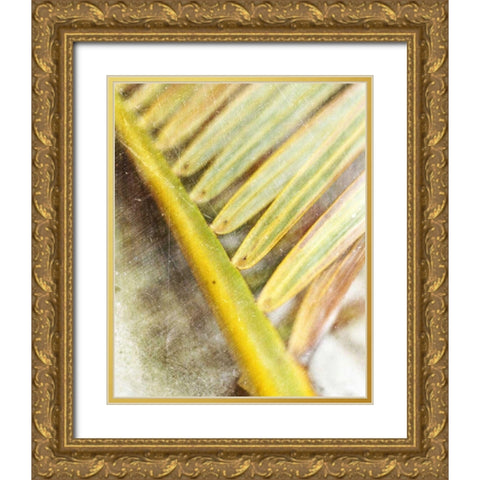 Frond Study II Gold Ornate Wood Framed Art Print with Double Matting by Robinson, Emily