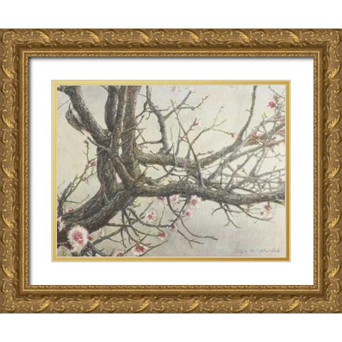 Apricot Creeper Gold Ornate Wood Framed Art Print with Double Matting by Vest, Chris