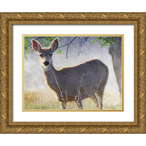 Spring Doe Gold Ornate Wood Framed Art Print with Double Matting by Vest, Chris
