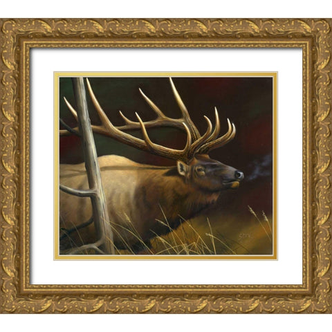 Elk Portrait II Gold Ornate Wood Framed Art Print with Double Matting by Stans, Leo