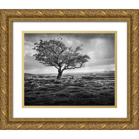 Elegance Gold Ornate Wood Framed Art Print with Double Matting by Henson, Martin