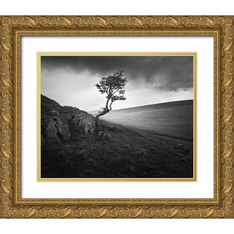 Outcrop Gold Ornate Wood Framed Art Print with Double Matting by Henson, Martin