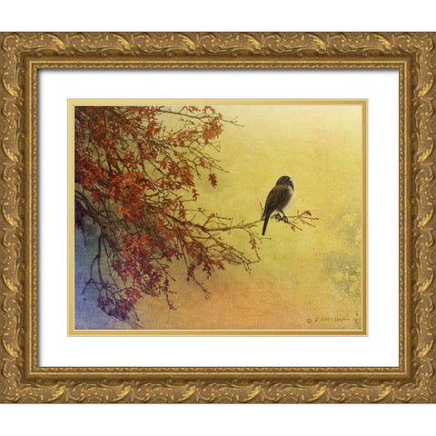 Custom Snow Oak Junco (ASH) Gold Ornate Wood Framed Art Print with Double Matting by Vest, Chris