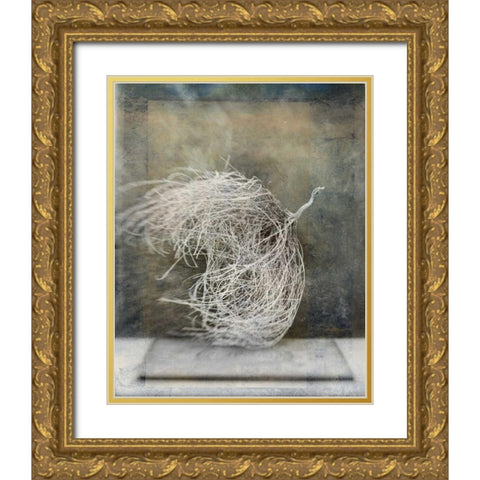 Desert Form I Gold Ornate Wood Framed Art Print with Double Matting by Ray, Elena