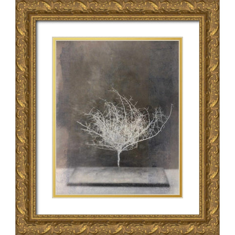 Desert Form VI Gold Ornate Wood Framed Art Print with Double Matting by Ray, Elena